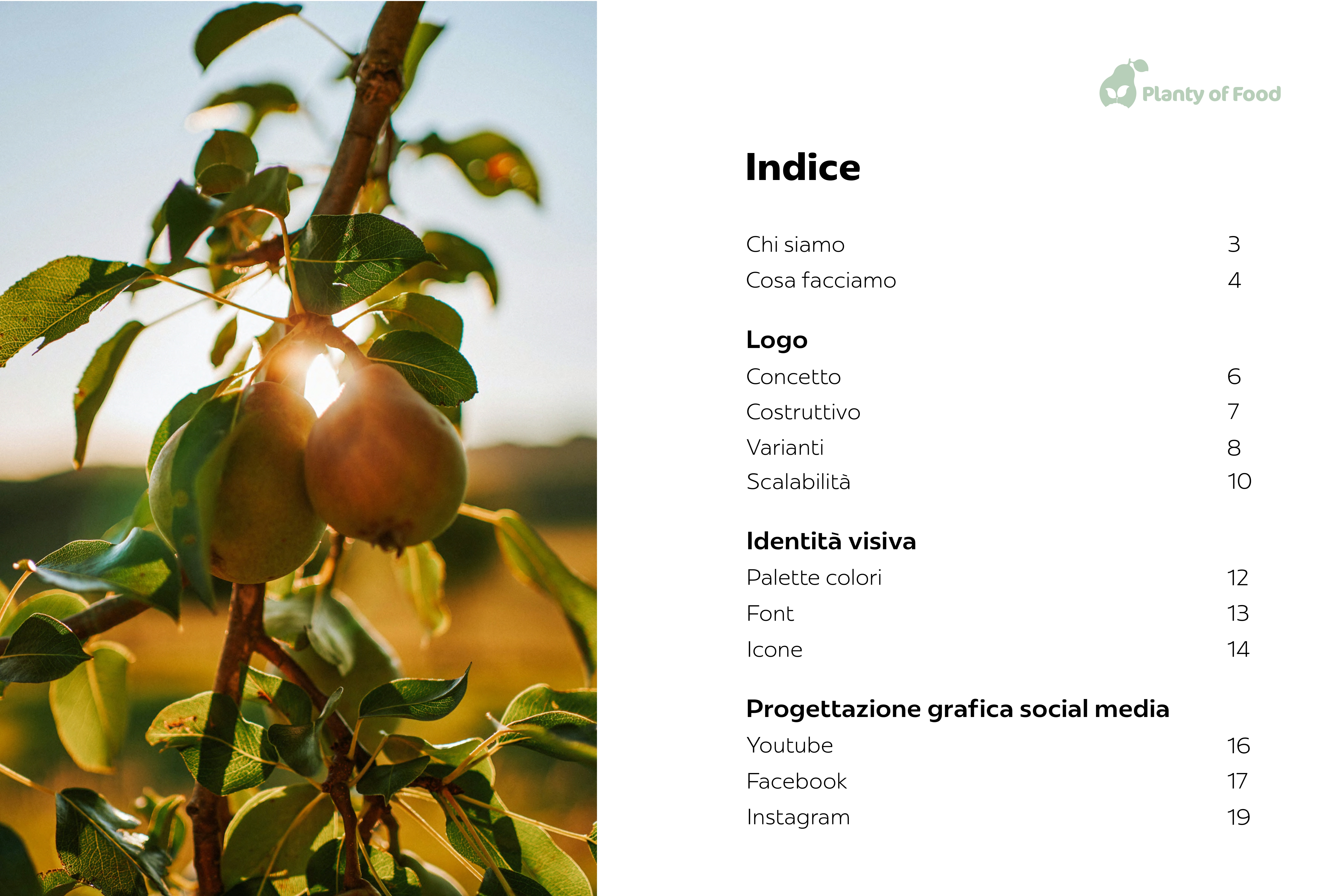 grafica pagina 2